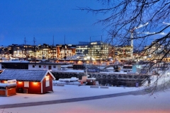 _DSC0238_tonemapped_00014