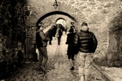 _DSC0252_tonemapped_00018